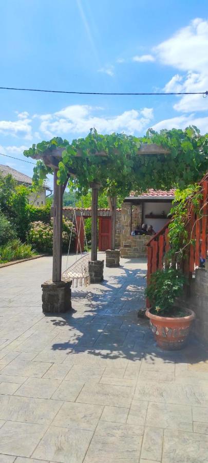 Apartament Adori Ilirska Bistrica Zewnętrze zdjęcie