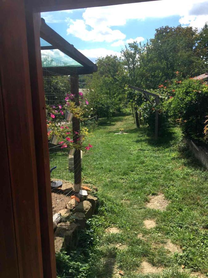 Apartament Adori Ilirska Bistrica Zewnętrze zdjęcie