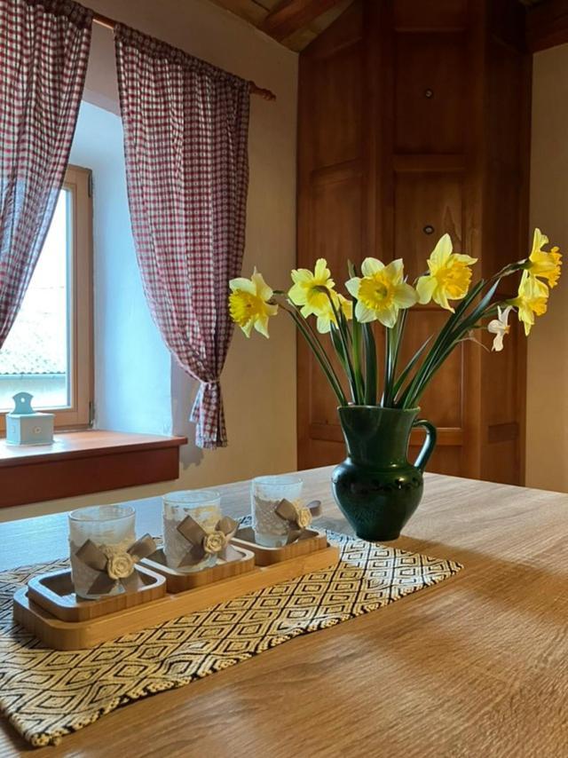 Apartament Adori Ilirska Bistrica Zewnętrze zdjęcie